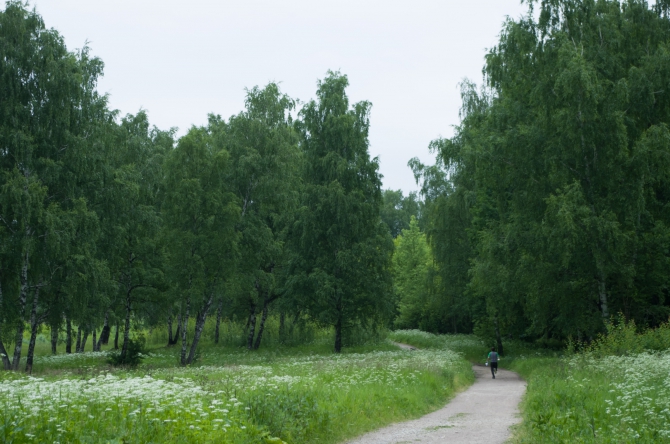 Весенний зачёт МЭИ. Сезон 2015. Впечатления (Альпинизм, каис мэи, фаис москвы, Лосиный остров, скалодром RockZona, сосулька маи, альпиндустрия, спорт-марафон, petzl, la sportiva, Трасса)