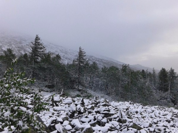 Результаты Чемпионата России по скайраннингу - горный марафон "Конжак"