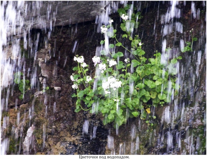 High Line "Девичьи косы". (приэльбрусье)