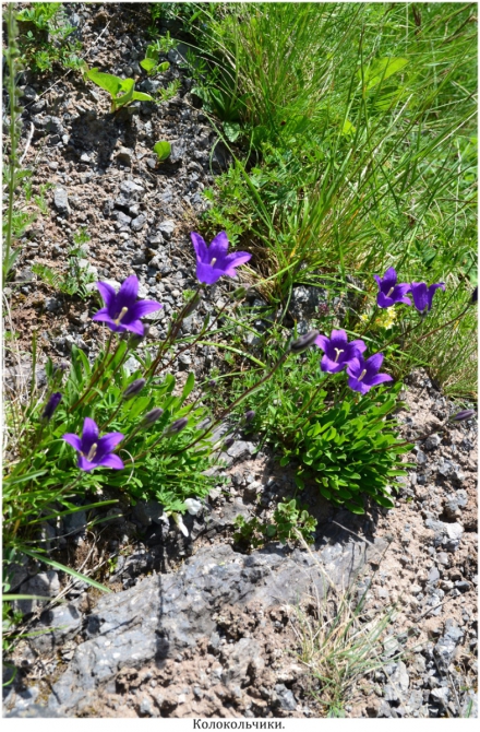 High Line "Девичьи косы". (приэльбрусье)