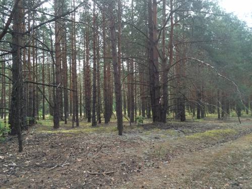 РИСКни - 100 километров за два дня (Мультигонки)