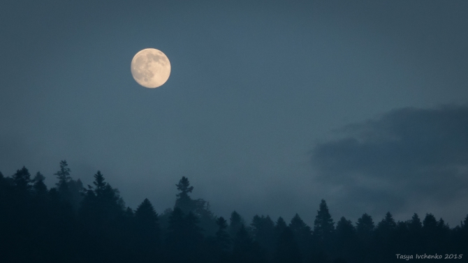 Спидфлаинг в Румынии. Буштень (Воздух, Спиидфлаинг, румыния)