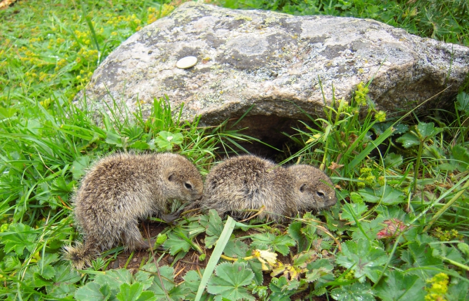 Импровизация 2015 или когда всё не по плану.... (Горный туризм)