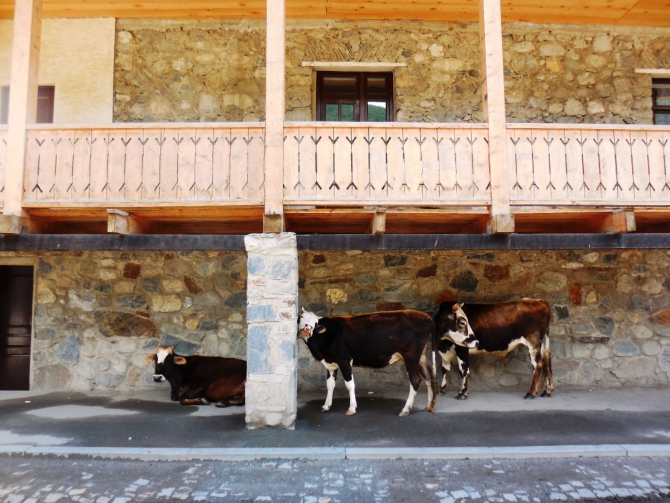 Школа жизни в Школе инструкторов с постскриптумом... (Альпинизм, альпинизм, школа инструкторов, отчет, путшествие по Грузии)