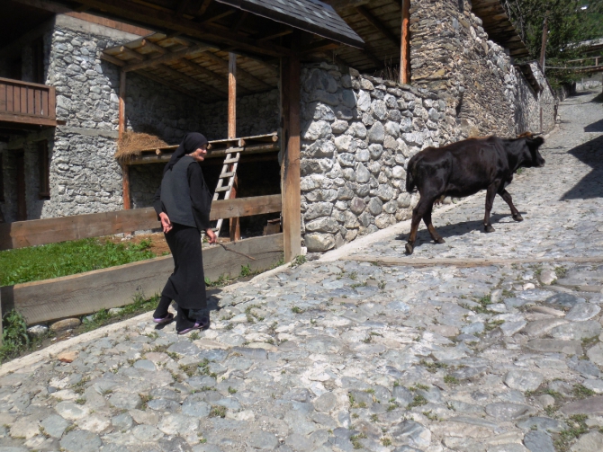 Школа жизни в Школе инструкторов с постскриптумом... (Альпинизм, альпинизм, школа инструкторов, отчет, путшествие по Грузии)
