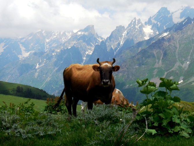 Школа жизни в Школе инструкторов с постскриптумом... (Альпинизм, альпинизм, школа инструкторов, отчет, путшествие по Грузии)