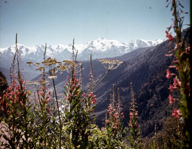 Учебный поход под Ушбу (11-14.08.1974). (Альпинизм, школа барова, поход под ушбу 1974)