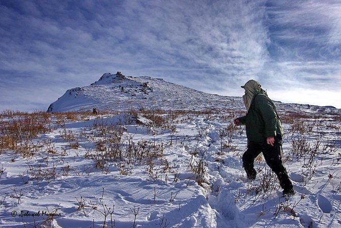 Лови момент вместе с Tamron! Голосуем! (фотоконкурс, оптика, фотография, фотообъективы)