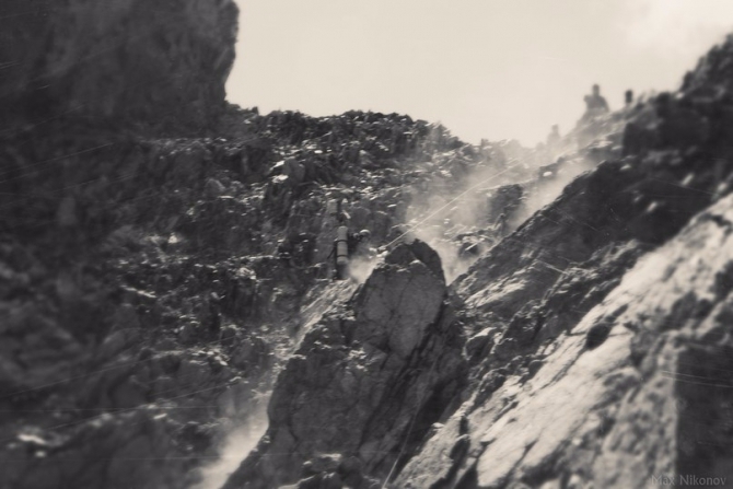 Лови момент вместе с Tamron! Голосуем! (фотоконкурс, оптика, фотография, фотообъективы)