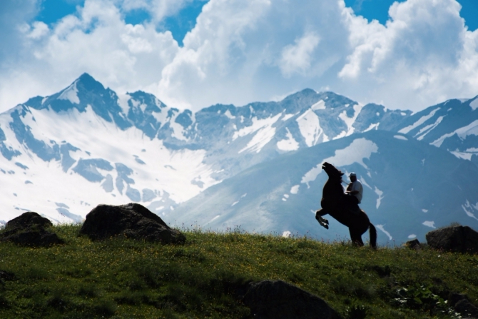 Лови момент вместе с Tamron! Голосуем! (фотоконкурс, оптика, фотография, фотообъективы)