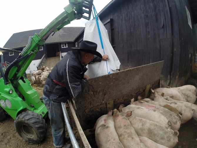 Норвежский вело бомж-трип. Красивые ножки и норвежское сердце. (норвегия, бомж трип, морозова, лебедь)