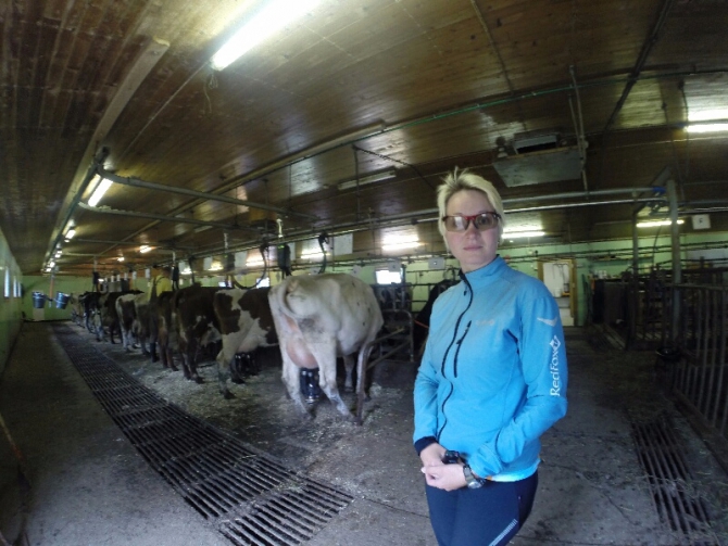 Норвежский вело бомж-трип. Красивые ножки и норвежское сердце. (норвегия, бомж трип, морозова, лебедь)