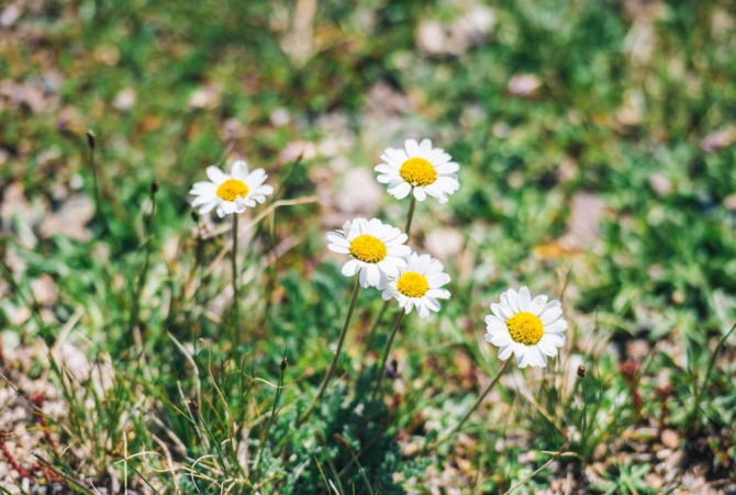 Марафон в горах Elbrus World Race: забег для самых выносливых. Часть 4 (Скайраннинг, adidas, скайраннинг, горный бег, elbrus mountain race, эльбрус, горы, соревнования)
