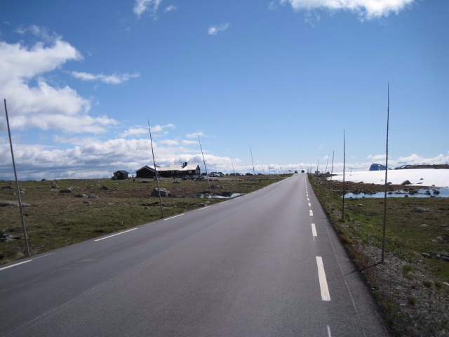 Девчачий норвежский бомж-велотрип завершился (норвегия, бомж трип, морозова, лебедь)