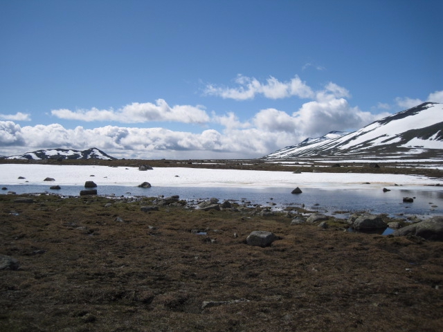 Девчачий норвежский бомж-велотрип завершился (норвегия, бомж трип, морозова, лебедь)