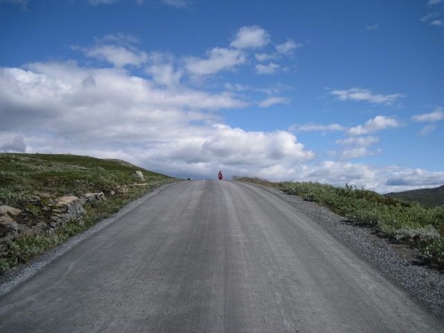 Девчачий норвежский бомж-велотрип завершился (норвегия, бомж трип, морозова, лебедь)