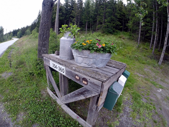 Девчачий норвежский бомж-велотрип завершился (норвегия, бомж трип, морозова, лебедь)