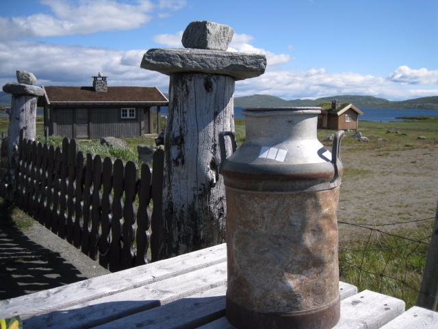 Девчачий норвежский бомж-велотрип завершился (норвегия, бомж трип, морозова, лебедь)