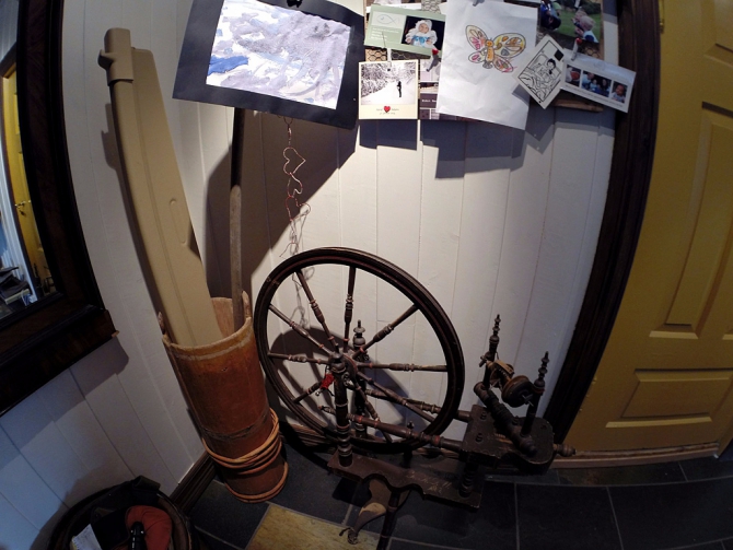 Девчачий норвежский бомж-велотрип завершился (норвегия, бомж трип, морозова, лебедь)