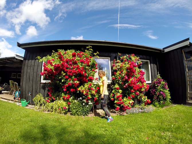 Девчачий норвежский бомж-велотрип завершился (норвегия, бомж трип, морозова, лебедь)