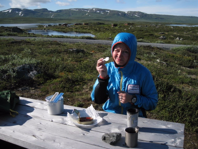 Девчачий норвежский бомж-велотрип завершился (норвегия, бомж трип, морозова, лебедь)