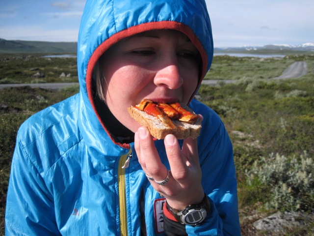 Девчачий норвежский бомж-велотрип завершился (норвегия, бомж трип, морозова, лебедь)