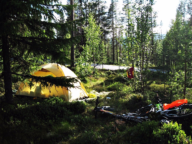 Девчачий норвежский бомж-велотрип завершился (норвегия, бомж трип, морозова, лебедь)