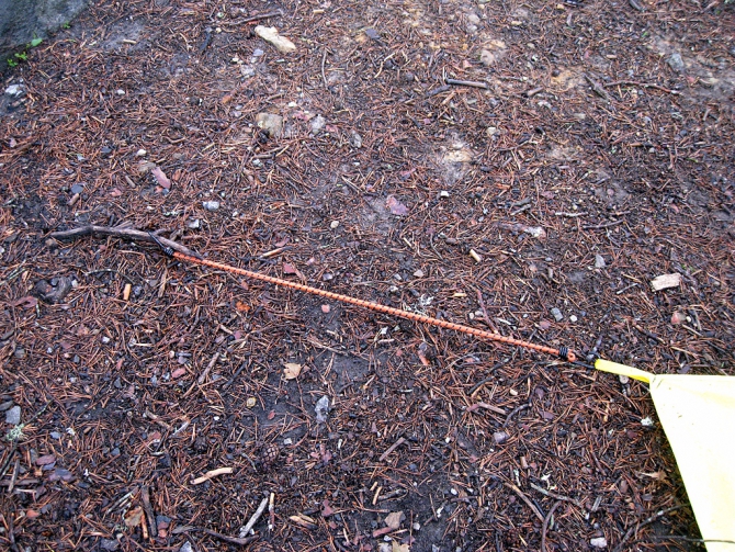 Девчачий норвежский бомж-велотрип завершился (норвегия, бомж трип, морозова, лебедь)