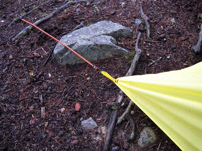 Девчачий норвежский бомж-велотрип завершился (норвегия, бомж трип, морозова, лебедь)