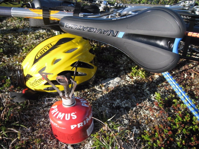 Девчачий норвежский бомж-велотрип завершился (норвегия, бомж трип, морозова, лебедь)