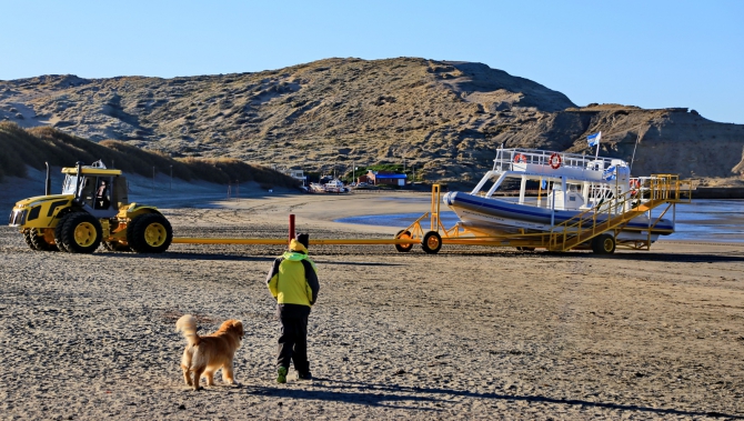 Полуостров южных китов. Валдес. Аргентина. (Путешествия, Пуэрто Мадрин, Южные киты, полуостров Валдес)
