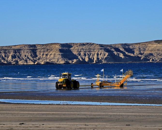 Полуостров южных китов. Валдес. Аргентина. (Путешествия, Пуэрто Мадрин, Южные киты, полуостров Валдес)