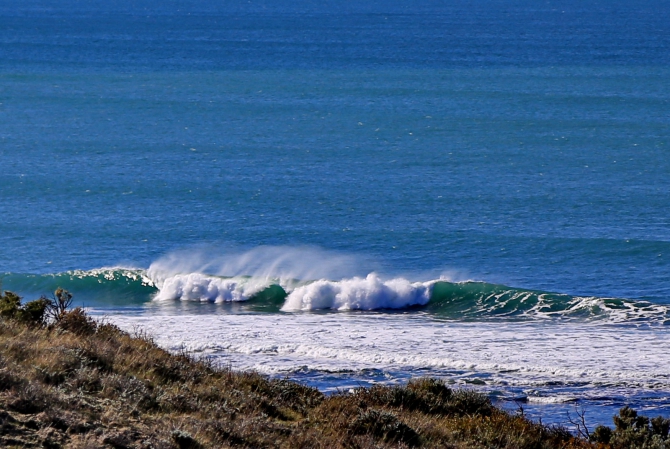 Полуостров южных китов. Валдес. Аргентина. (Путешествия, Пуэрто Мадрин, Южные киты, полуостров Валдес)