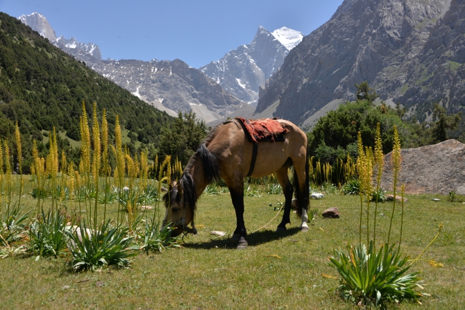 пик БЛОКА! Девчонки прошли стену ;, Альпинизм, маршрут Гунько, красноярск, школа ито, ред фокс)