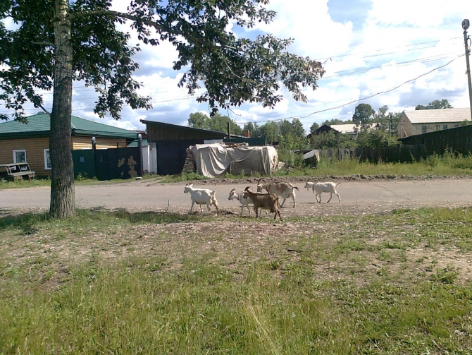 Российская глубинка.... 