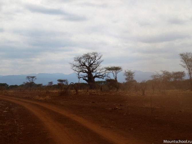 Кения. Часть 2. Парк Меру. (mountschool.ru, веденин, горная школа, путешествия)