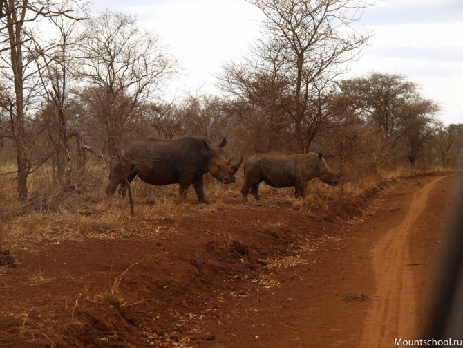 Кения. Часть 2. Парк Меру. (mountschool.ru, веденин, горная школа, путешествия)