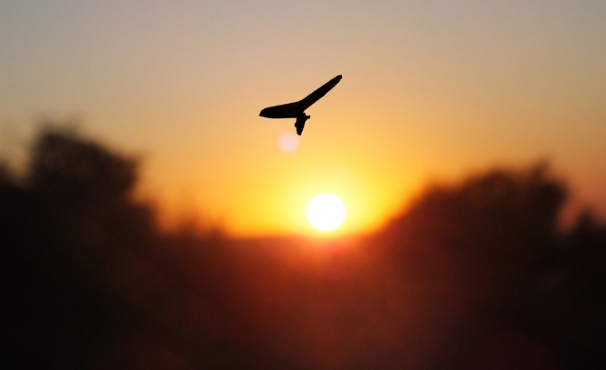 Вот и лето прошло... (Воздух, пятигорск, гора Юца)