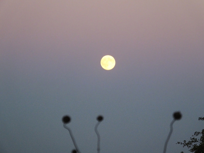 Вот и лето прошло... (Воздух, пятигорск, гора Юца)