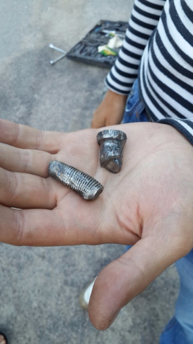 Shelter-trophy Карелия 2015 Обратная сторона. Дневник экспедиции. День второй. (Путешествия)