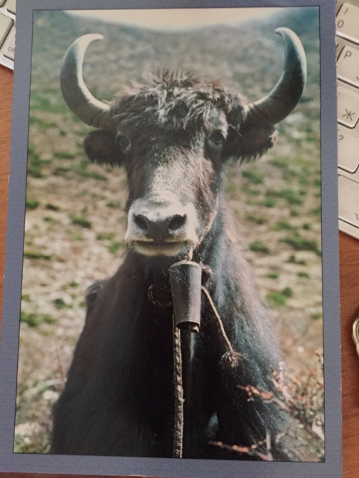 Глеба Соколова с днем Рождения! (Альпинизм)