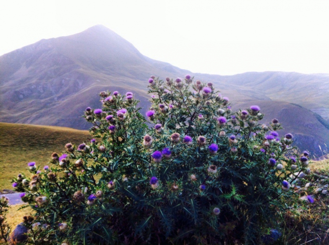 Шаукам (Горный туризм, виктор чайка, эльбрус, приэльбрусье, эльбрус с севера, северное приэльбрусье, менгир, менгиры, развалины, руины)