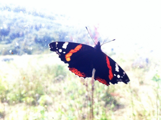 Шаукам (Горный туризм, виктор чайка, эльбрус, приэльбрусье, эльбрус с севера, северное приэльбрусье, менгир, менгиры, развалины, руины)