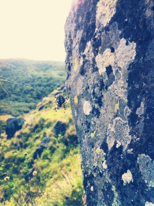 Шаукам (Горный туризм, виктор чайка, эльбрус, приэльбрусье, эльбрус с севера, северное приэльбрусье, менгир, менгиры, развалины, руины)