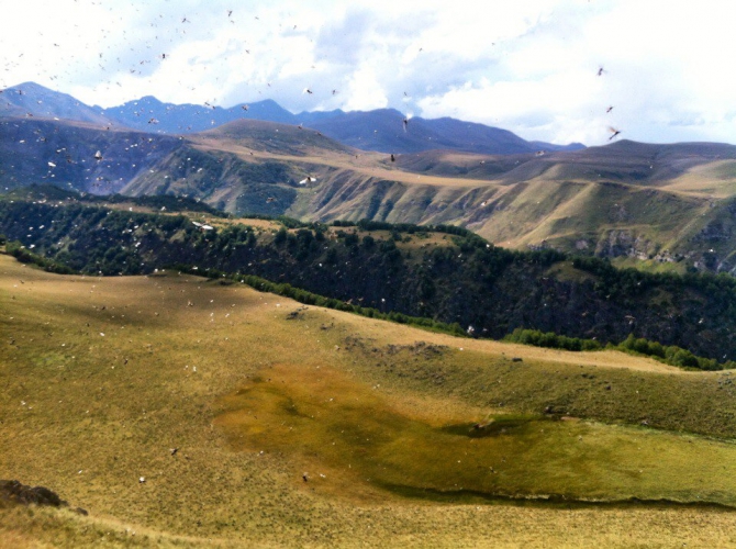 Шаукам (Горный туризм, виктор чайка, эльбрус, приэльбрусье, эльбрус с севера, северное приэльбрусье, менгир, менгиры, развалины, руины)