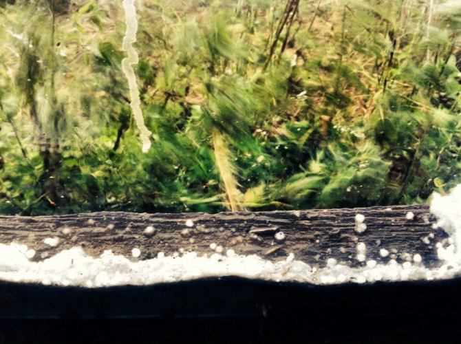 Шаукам (Горный туризм, виктор чайка, эльбрус, приэльбрусье, эльбрус с севера, северное приэльбрусье, менгир, менгиры, развалины, руины)