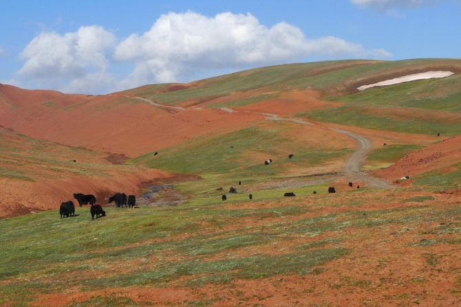 Лошадки, цветочки и другая разная фигня. (Путешествия, алай, заалай)