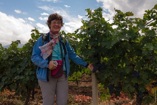 Новокузнецк на Чемпионате Мира (Альпинизм)