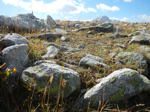 Архыз. Чегет-Чат (Туризм)