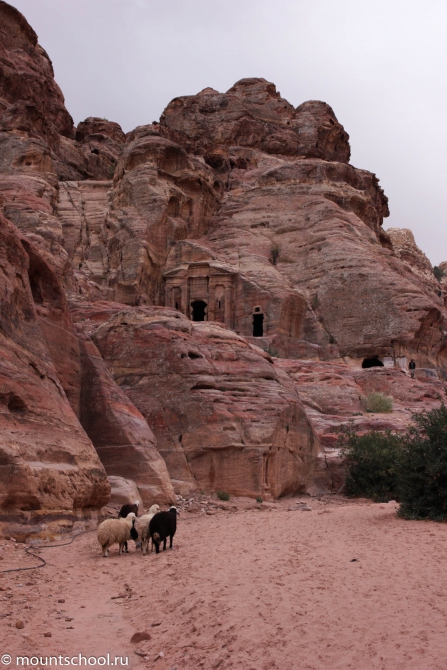 Иордания. Фотоотчет, часть 2. (веденин, mountschool, вади рам)